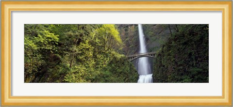 Framed Waterfall in a forest, Multnomah Falls, Columbia River Gorge, Portland, Multnomah County, Oregon, USA Print