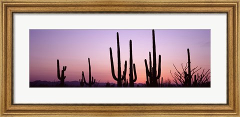 Framed Landscape of Saguaro National Park, Tucson, Arizona Print