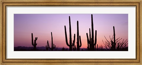 Framed Landscape of Saguaro National Park, Tucson, Arizona Print