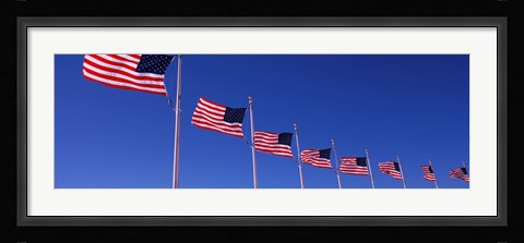 Framed Low angle view of American flags, Washington Monument, Washington DC, USA Print