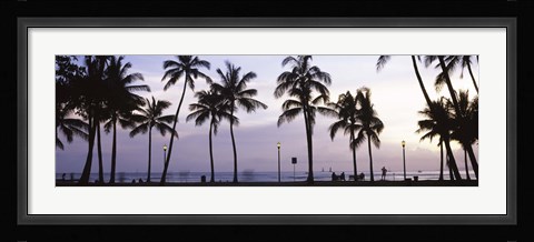 Framed Palm trees on the beach, Waikiki, Honolulu, Oahu, Hawaii (black and white) Print