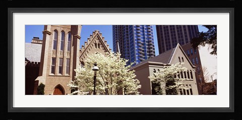 Framed Trees in front of a building, Charlotte, Mecklenburg County, North Carolina, USA Print