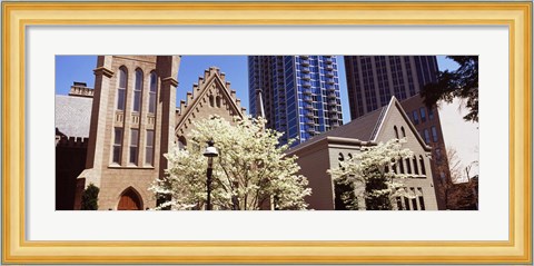 Framed Trees in front of a building, Charlotte, Mecklenburg County, North Carolina, USA Print
