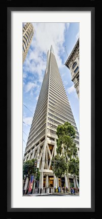 Framed Low angle view of skyscrapers, Transamerica Pyramid, San Francisco, California, USA 2011 Print