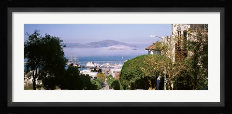 Framed Trees along the Hyde Street, San Francisco, California, USA Print