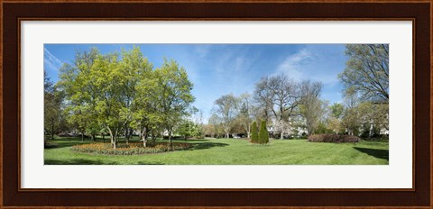Framed Tulips with Trees at Sherwood Gardens, Baltimore, Maryland, USA Print