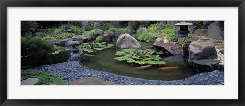 Framed Japanese Garden, University of California, Los Angeles Print