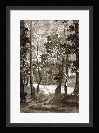 Framed Path Leading into a Forest Clearing Print