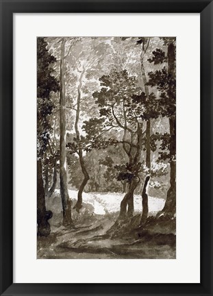 Framed Path Leading into a Forest Clearing Print