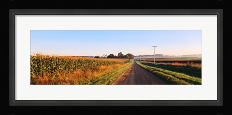 Framed Road Along Rural Cornfield, Illinois, USA Print