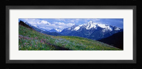 Framed Wildflowers Along Mountainside, Zillertaler, Austria Print
