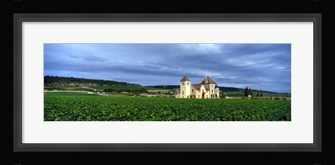 Framed Grand Cru Vineyard, Burgundy, France Print