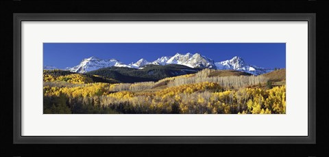 Framed USA, Colorado, Rocky Mountains, aspens, autumn Print