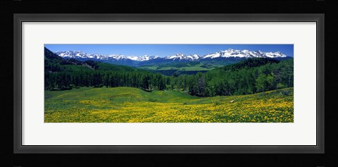 Framed San Miguel Mountains In Spring, Colorado, USA Print