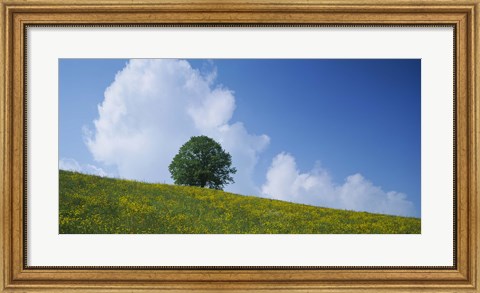 Framed Green Hill w/ flowers &amp; tree Canton Zug Switzerland Print