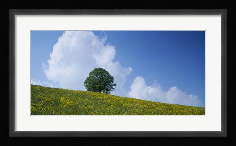 Framed Green Hill w/ flowers &amp; tree Canton Zug Switzerland Print