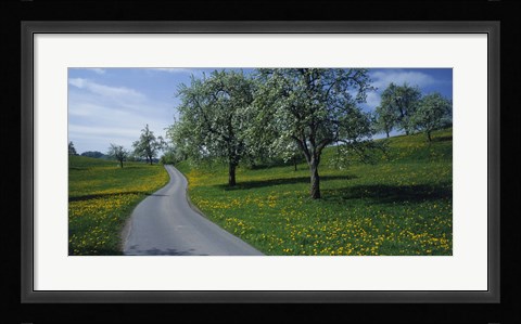 Framed Spring in Zug, Switzerland Print