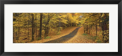 Framed Autumn Road, Emery Park, New York State, USA Print