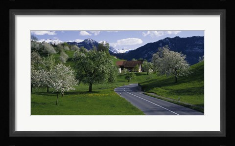 Framed Switzerland, Luzern, trees, road Print