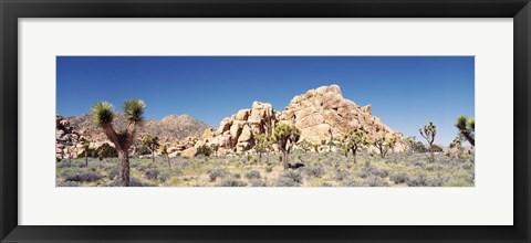 Framed Rock Formation In A Arid Landscape, Joshua Tree National Monument, California, USA Print