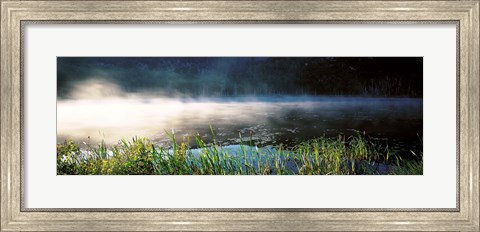 Framed Morning fog Acadia National Park ME USA Print