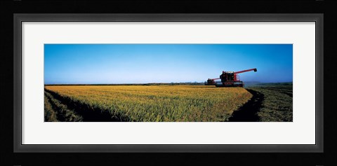 Framed Harvested rice field Glenn Co CA USA Print