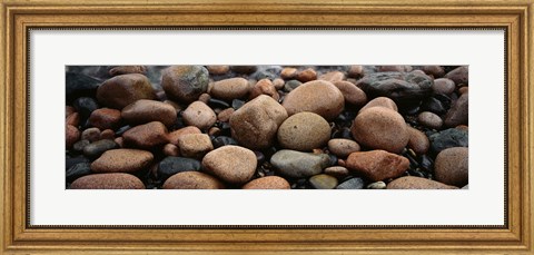 Framed Rocks Acadia National Park ME USA Print
