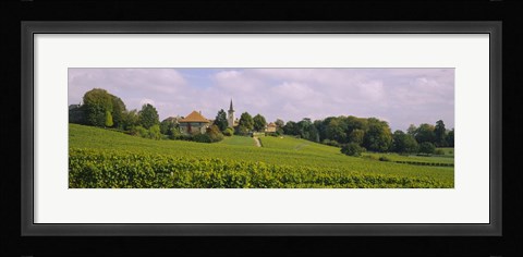 Framed WIne country with buildings in the background, Village near Geneva, Switzerland Print