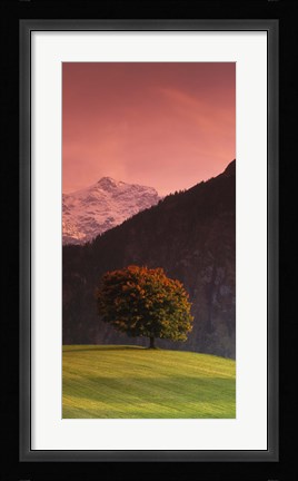Framed Switzerland, Alps Print