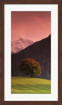 Framed Switzerland, Alps Print