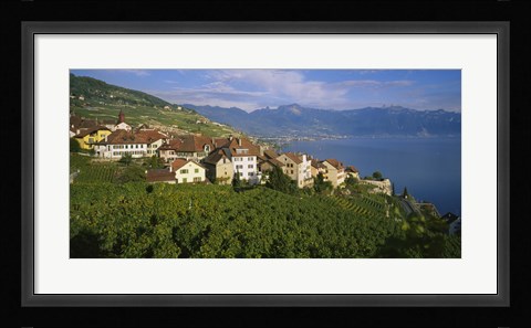 Framed Village Rivaz between Vineyards &amp; Mts. Lake Geneva Switzerland Print