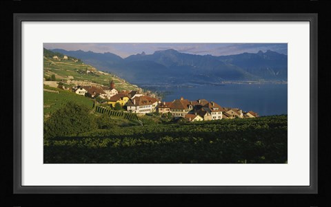 Framed Village on a hillside, Rivaz, Lavaux, Switzerland Print