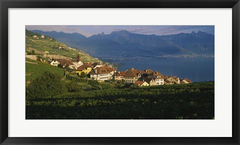 Framed Village on a hillside, Rivaz, Lavaux, Switzerland Print