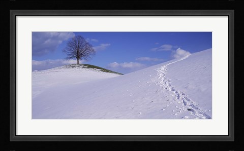 Framed Switzerland, View of a lone Linden tree on a hill Print