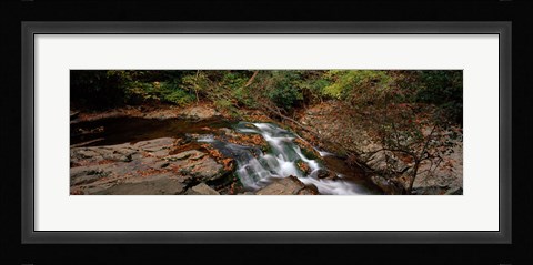 Framed White Water The Great Smoky Mountains TN USA Print
