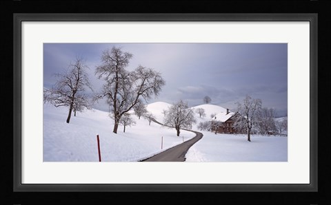 Framed Switzerland, Canton of Zug, Linden trees on a snow covered landscape Print
