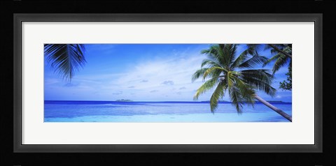 Framed Ocean, Island, Water, Palm Trees, Maldives Print
