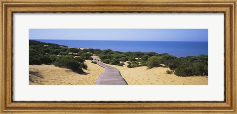 Framed Boardwalk on the beach, Cuesta De Maneli, Donana National Park, Huelva Province, Spain Print