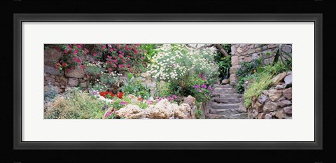 Framed Flowers in a garden, Tossa De Mar, Old town, Costa Brava, Catalonia, Spain Print