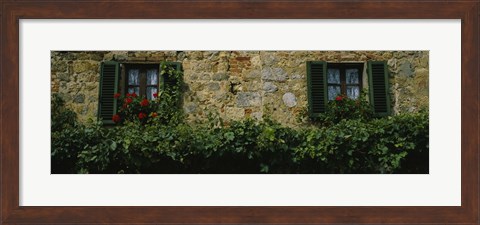 Framed Flowers on a window, Monteriggioni, Tuscany, Italy Print