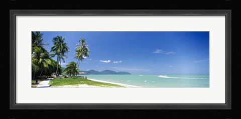 Framed Palm trees on the beach, Penang State, Malaysia Print