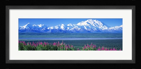 Framed Mountains &amp; Lake Denali National Park AK USA Print