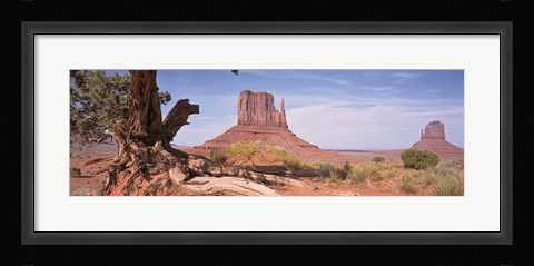 Framed Close-Up Of A Gnarled Tree With West And East Mitten, Monument Valley, Arizona, USA, Print