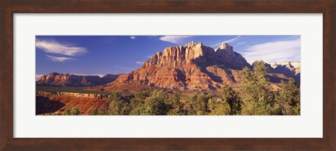 Framed Canyon surrounded with forest, Escalante Canyon, Zion National Park, Washington County, Utah, USA Print