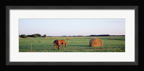 Framed Horses And Hay, Marion County, Illinois, USA Print