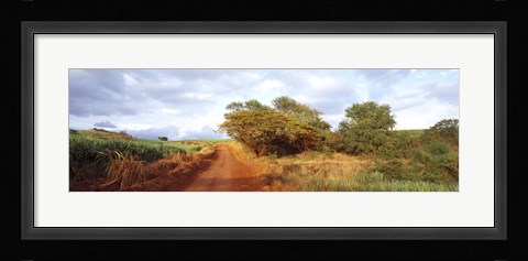 Framed Dirt road passing through a agricultural field, Kauai, Hawaii, USA Print