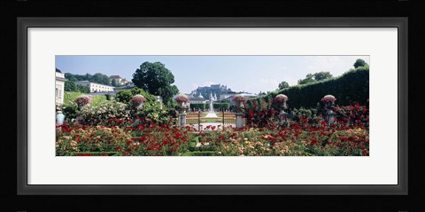 Framed Flowers in a formal garden, Mirabell Gardens, Salzburg, Salzkammergut, Austria Print