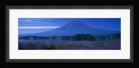 Framed Mount Fuji Japan Print