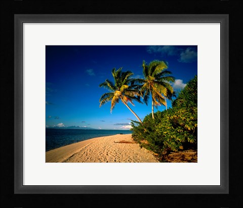 Framed Palm trees and beach, Tahiti French Polynesia Print