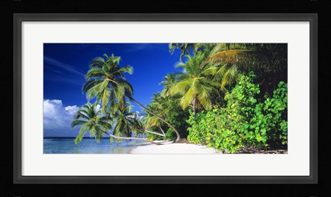 Framed Palm Beach The Maldives Print